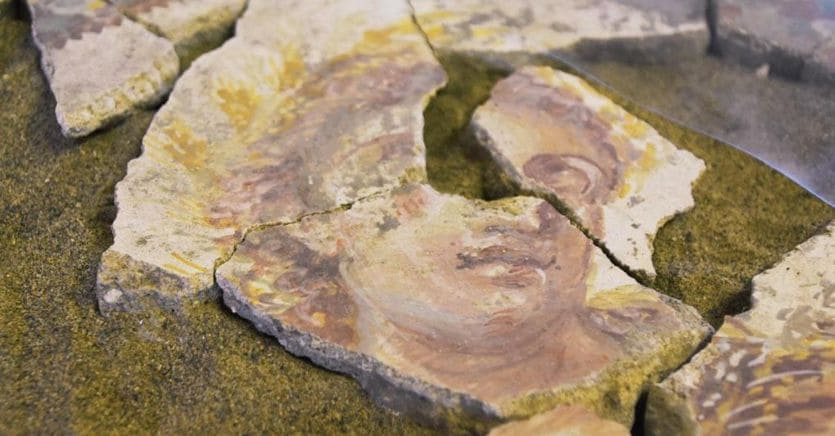 Il robot ricostruisce affreschi e mosaici deteriorati di Pompei