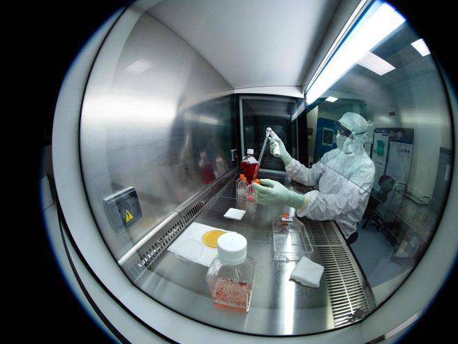 Laboratori e virus in Ucraina, perché l’Oms ha chiesto di