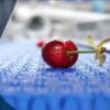 30esima sagra della ciliegia Ferrovia di Turi 2022 con tributo alla Faldacchea