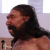 Lo studio: i geni che modellano il naso sono un'eredità dei Neanderthal