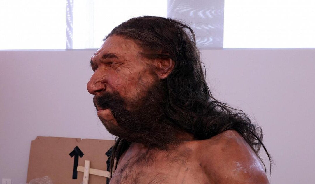 Lo studio: i geni che modellano il naso sono un’eredità dei Neanderthal