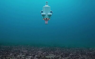 Un drone dotato di Intelligenza Artificiale per curare la Grande Barriera Corallina malata