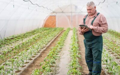 Agritech, Hortifrut fa il balzo del futuro con il wi-fi 6. “Pietra miliare per la connettività”