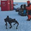 Cina, un cane robot a 6 zampe a prova di freddo polare, il primo test in Antartide