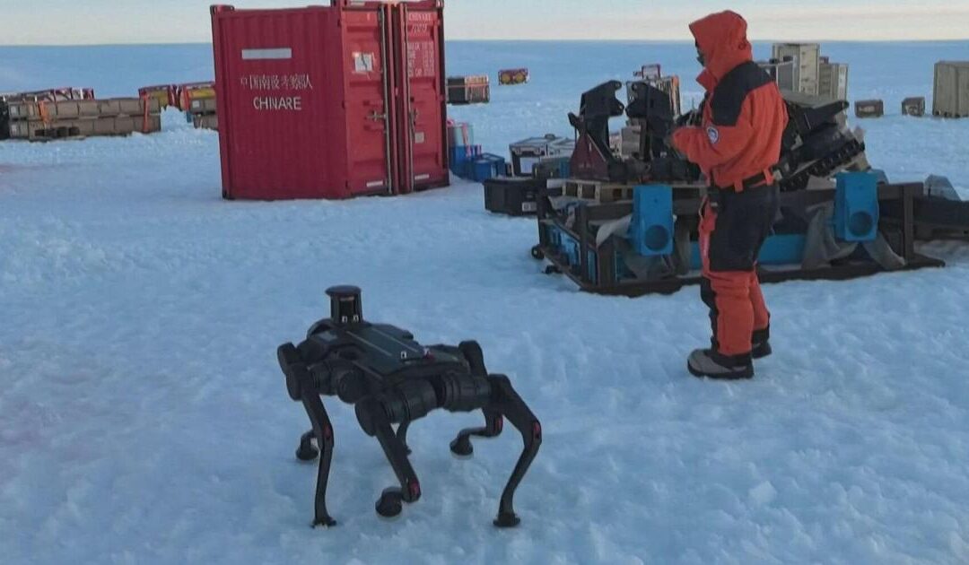 Cina, un cane robot a 6 zampe a prova di freddo polare, il primo test in Antartide