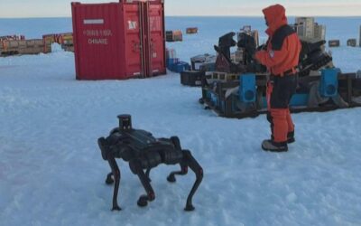 Cina, un cane robot a 6 zampe a prova di freddo polare, il primo test in Antartide
