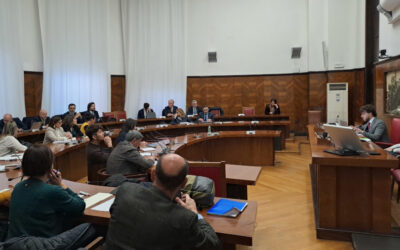 Conbipel: pronta cordata italiana per rilancio e salvaguardia di 800 lavoratori
