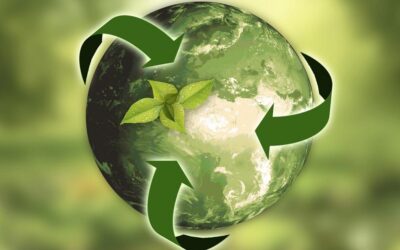 Futuro24: ricerche amiche dell’ambiente all’ENEA di Brindisi