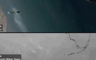 SpaceX, l’esplosione di Starship vista dal satellite