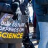 Cervelli in fuga dagli Usa, l'Italia propone di accoglierli: è il manifesto ReBrain Eu