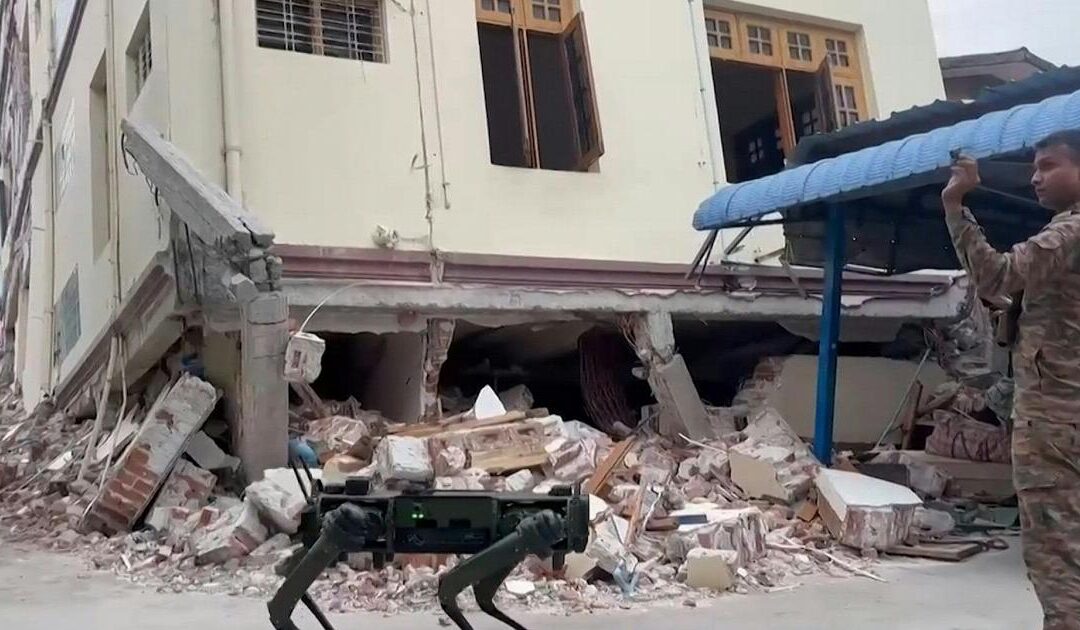 Terremoto in Myanmar, cani robot indiani per valutare i danni del sisma