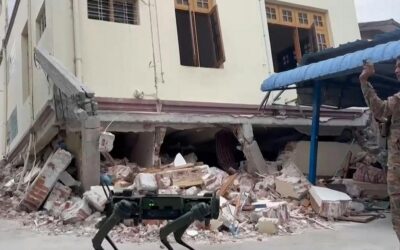 Terremoto in Myanmar, cani robot indiani per valutare i danni del sisma