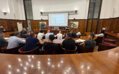 Gruppo Dana, tavolo al Mimit sulla cessione di Dana Off Highway ad Allison Transmission Holdings