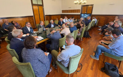 Marelli: illustrati al Mimit aggiornamenti sulla situazione finanziaria e sul futuro dei siti produttivi italiani