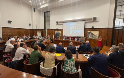 Stm: Tavolo al Mimit diventa permanente per giungere a soluzioni condivise