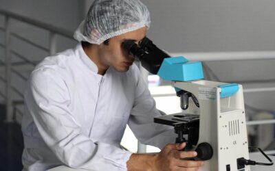 Unione europea, 761 milioni a 478 scienziati emergenti. Il secondo gruppo più numeroso è italiano