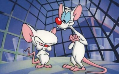 600mila neuroni in diverse aree, ecco la prima mappa completa di un cervello mammifero in attività