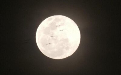 “Harvest Moon”: il timelapse della Superluna che sorge su Bogotà