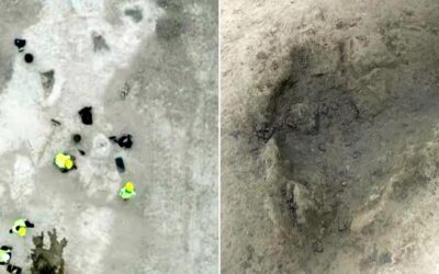 La “via dei dinosauri” si allunga: oltre 200 metri di impronte affiorano nella cava un tempo laguna