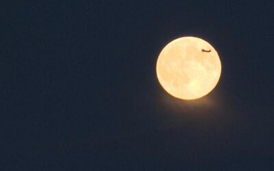 Superluna del Castoro, un aereo vola davanti al disco lunare a Colonia