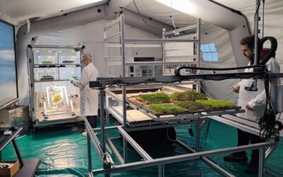 Futuro24: serre e orti spaziali dell’ENEA
