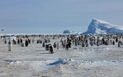 Futuro24: Antartide, iniziata la nuova spedizione italiana