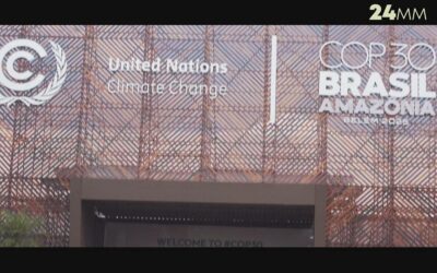 24MM: lotta per il clima e difesa dell’ambiente