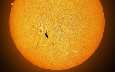 “La caduta di un Icaro”: ecco lo scatto surreale che ha fatto il giro del web