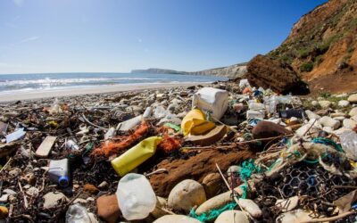 Plastica biodegradabile: allo studio enzimi che non lasciano micro-residui nell’ambiente