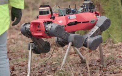 Ecco ANYmal: il “cane-robot” che mappa le foreste in 3D e aiuta la sostenibilità