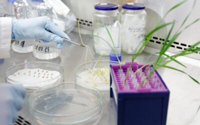 Futuro24: nuove soluzioni per il settore alimentare