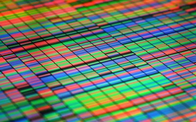 Intelligenza artificiale, arriva l’immortalità digitale ed il backup di pensieri: lo studio Eurispes