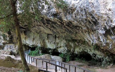 La malattia dietro quell’abbraccio: grazie al Dna risolto un mistero medico di oltre 12mila anni fa