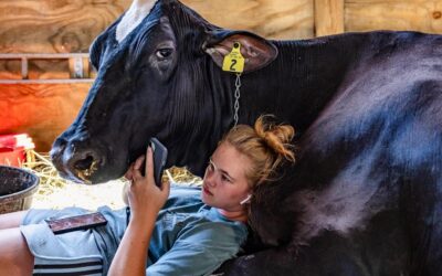 Un vulcanologo scalzo e una mucca ‘cool’: le foto vincitrici dei Sony World Photography Awards