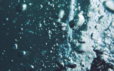 Acquamazione, come funziona la cremazione ad acqua appena approvata in Svezia