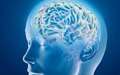 Uomo paralizzato recupera alcuni movimenti e tatto grazie a un ‘by-pass neurale’
