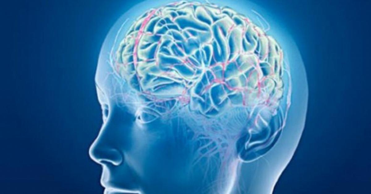 1779855410409_eabecaebf.jpg Uomo paralizzato recupera alcuni movimenti e tatto grazie a un 'by-pass neurale'