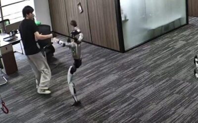 Il robot “si ribella” e prende a calci un ingegnere in Cina: colpo di kung fu